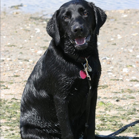 Meet your Posher, Wendy - Picture 1 of 1